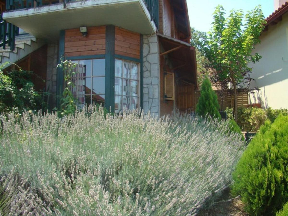 Zeus-Village Οικισμός Φινλανδικών Chalet Με Πισίνες & Γυμναστήριο Molos  Room photo